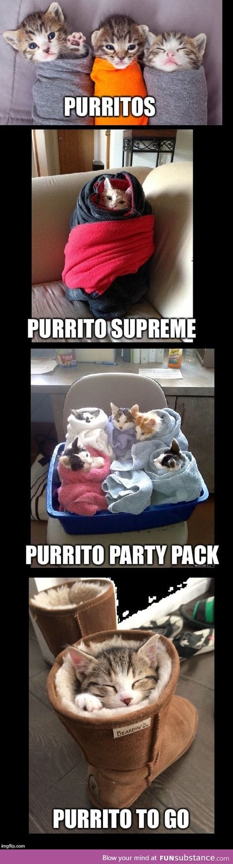 The purrito.