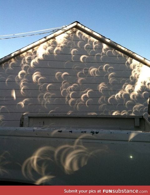 Sunlight through a tree during an eclipse