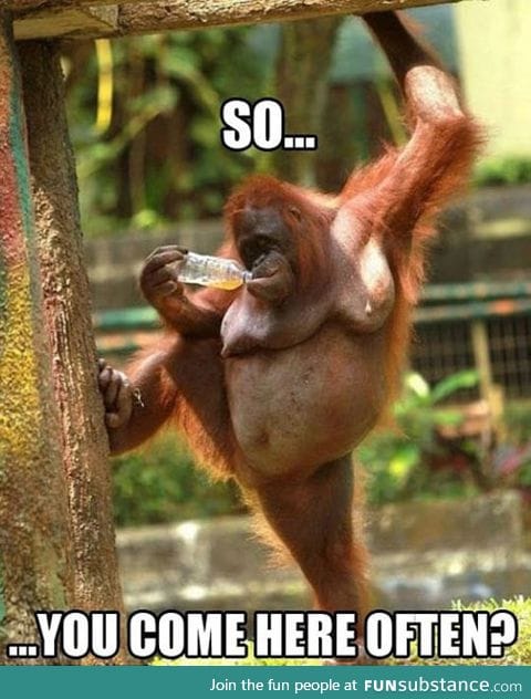 Seductive ape