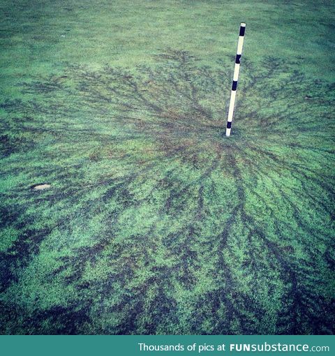 Lichtenberg figures left from a lighting strike