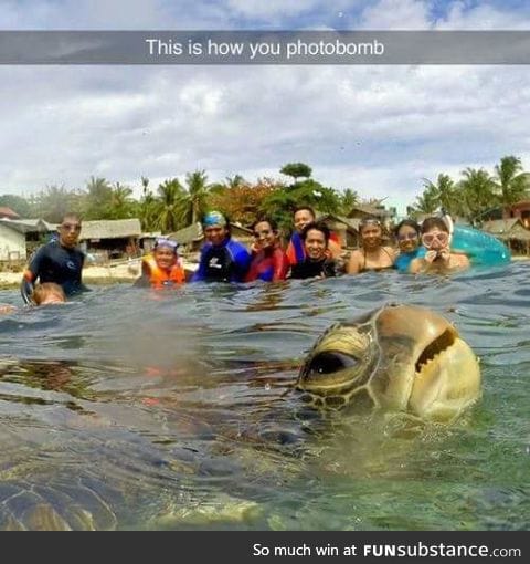 Sammy, is that you?