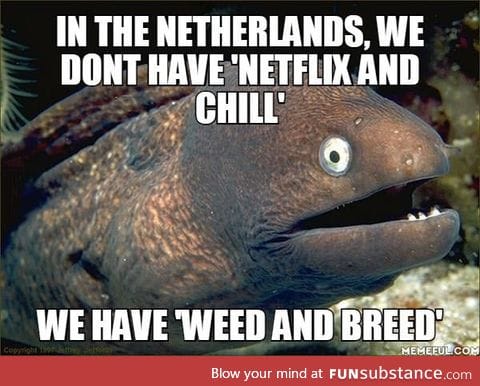 The Dutch alternative for Netflix and Chill