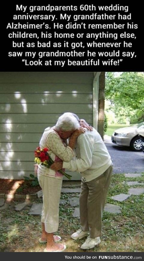 What is the love?