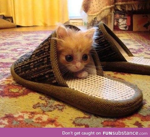 His new hiding place