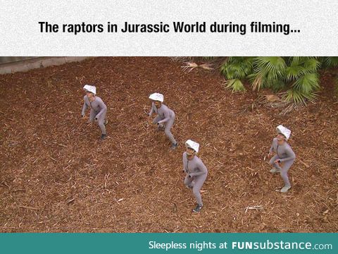 Movies should come with a cg removed version as a bonus feature