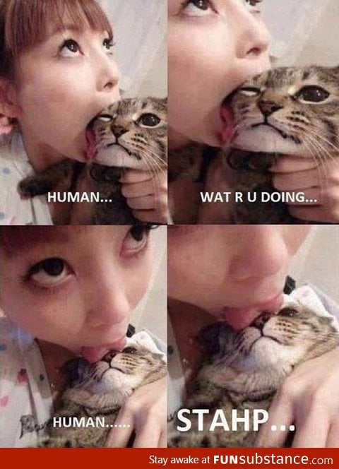 cat licker....