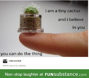 You can do the thing!
