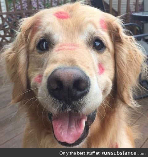 Pup got some smooches... Aww