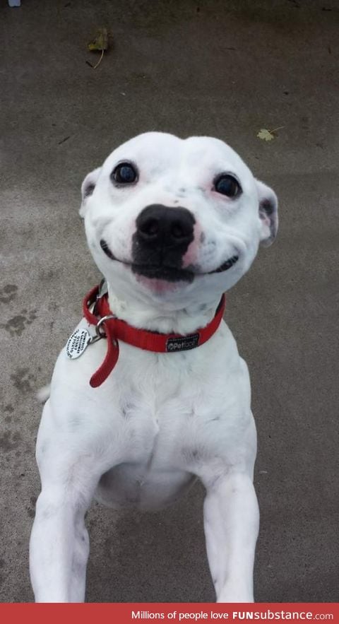 The sweetest of smiles