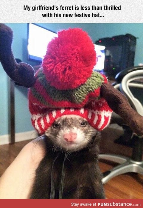 grumpy and cute