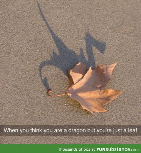 Beleaf in yourself