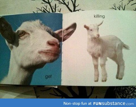 The Swedish word for ’Goat’ is ’Get’ and the word for ’Kid’ is ’Killing’