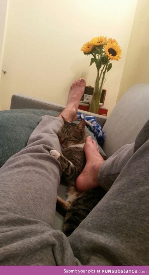 When it's cold, my cat is a foot warmer