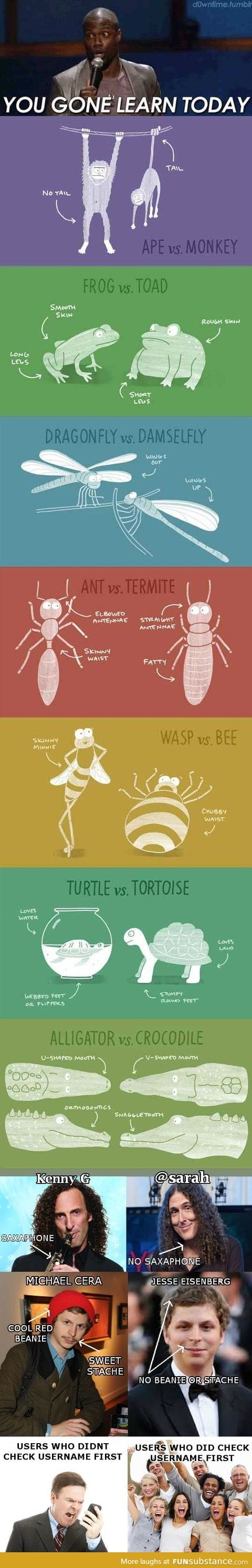 How to differentiate infographic