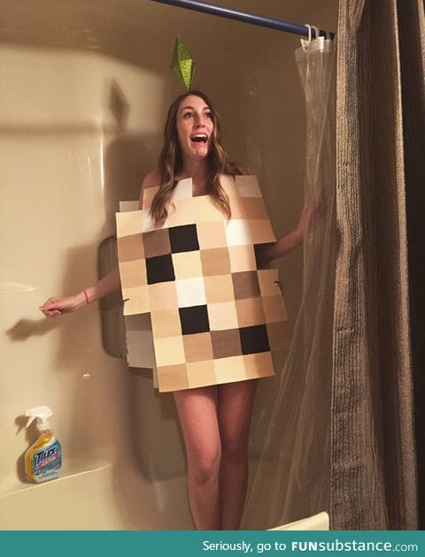 Clever Sims Cosplay