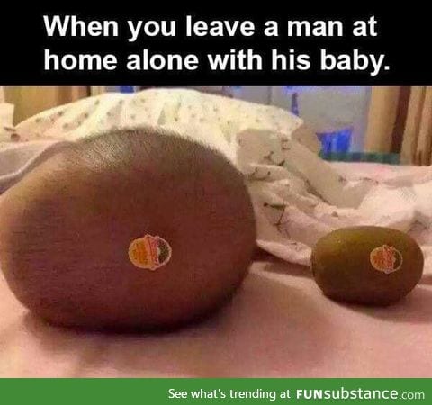 Kiwi for scale