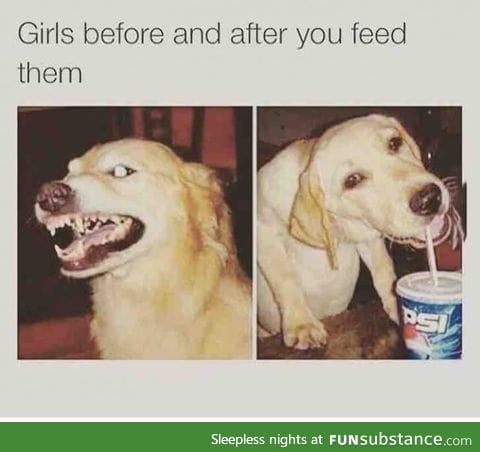 I think my girlfriend is always hungry