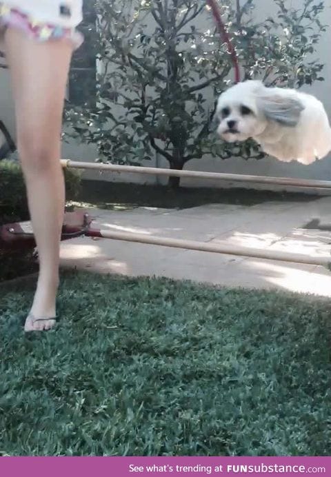 Target acquired. Engaging pursuit mode