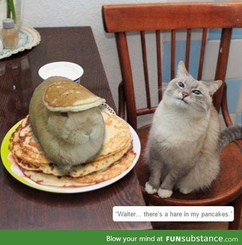Waiter please