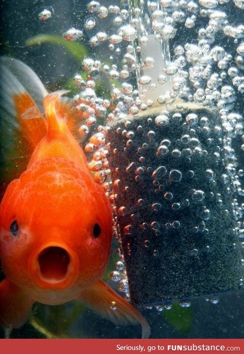 He looks amazed by the bubbles