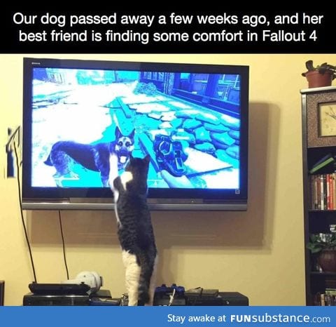 This is sad and sweet at the same time