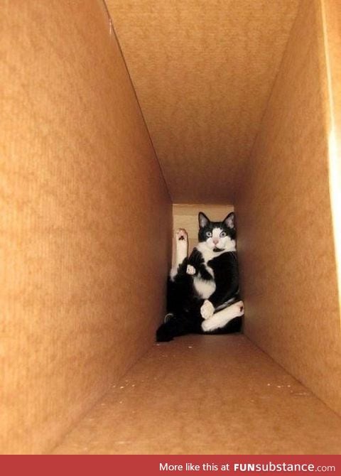 What's in the box?