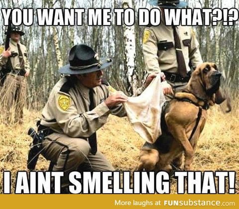 You want me to do what...?