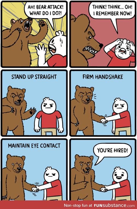 What to do if a bear attacks you