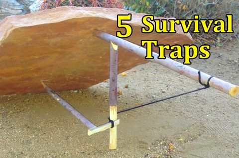 5 traps to get food in the wild