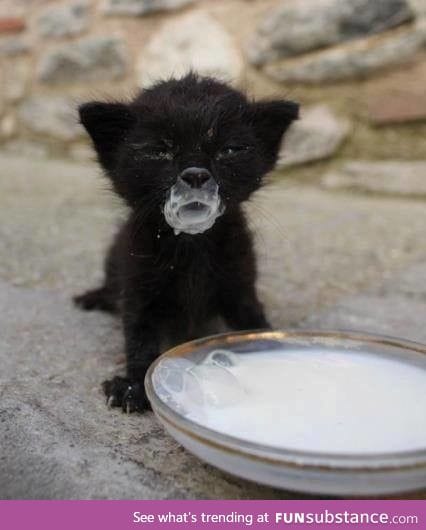 Milk drunk