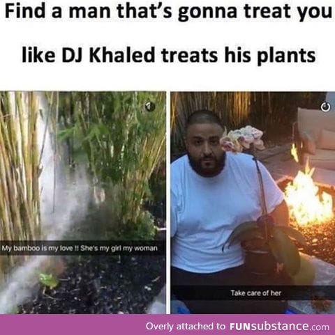 Dj Khaled