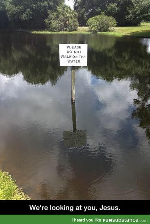 Please behave