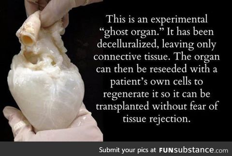 Ghost organ