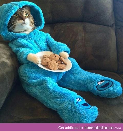 Could you get me some milk, please?