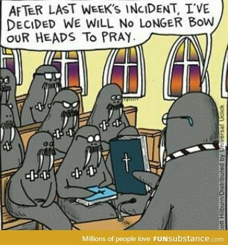 poor jesus fearing walruses