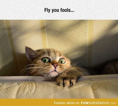 Those eyes though