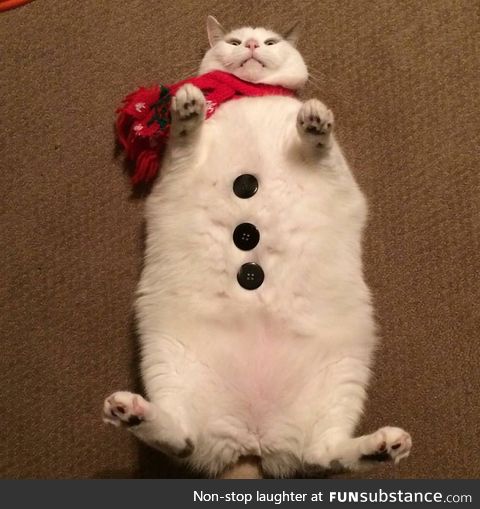 Scruffles the snowcat