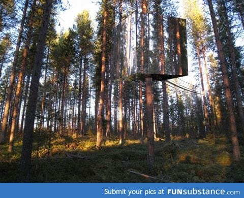 A treehouse made of mirrors