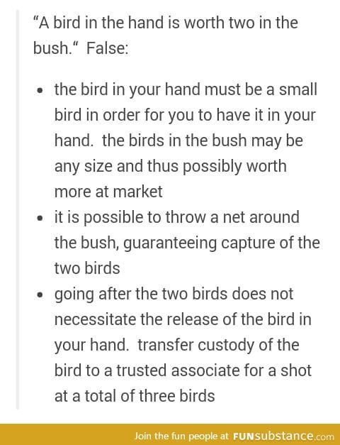 No bird no bush