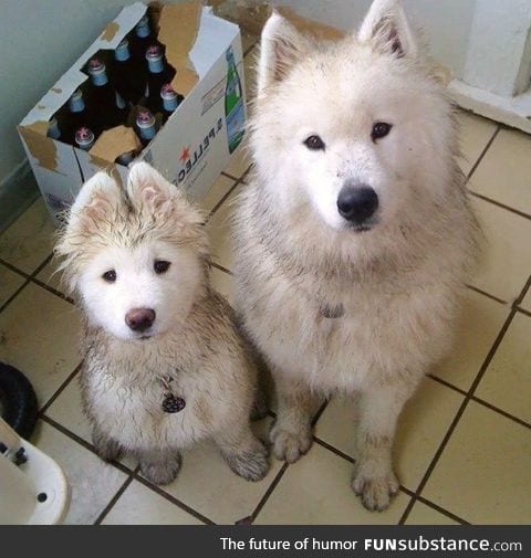 Fresh from the playground