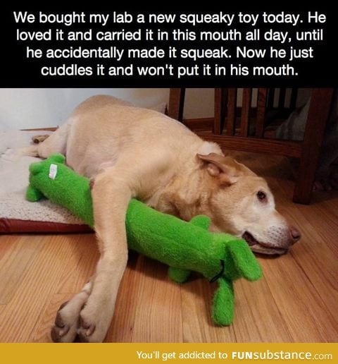 "I... I hurt it... I betrayed it... I must now nurture it..."