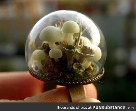Bio-dome