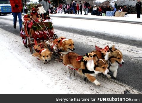 Corgi express
