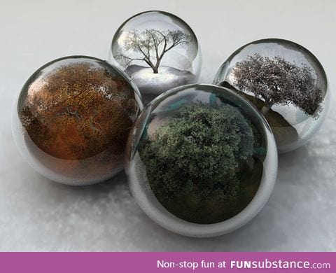 The seasons