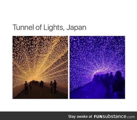 I'd sleep there