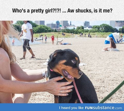 Pretty girl