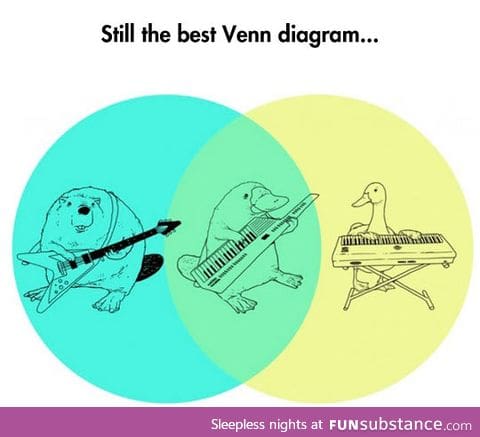 The best of both worlds