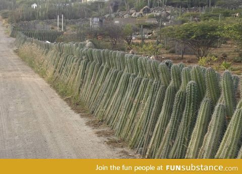 This could be used to protect the border somehow,