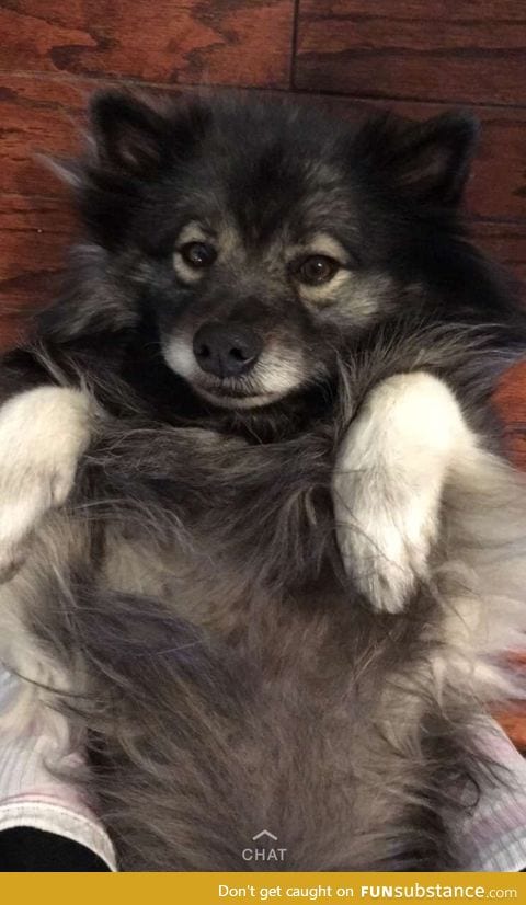 She's 9 years old but stopped aging at 6 months