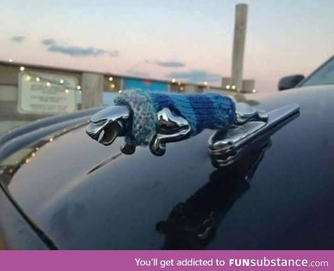 Keeping the Jaguar warm